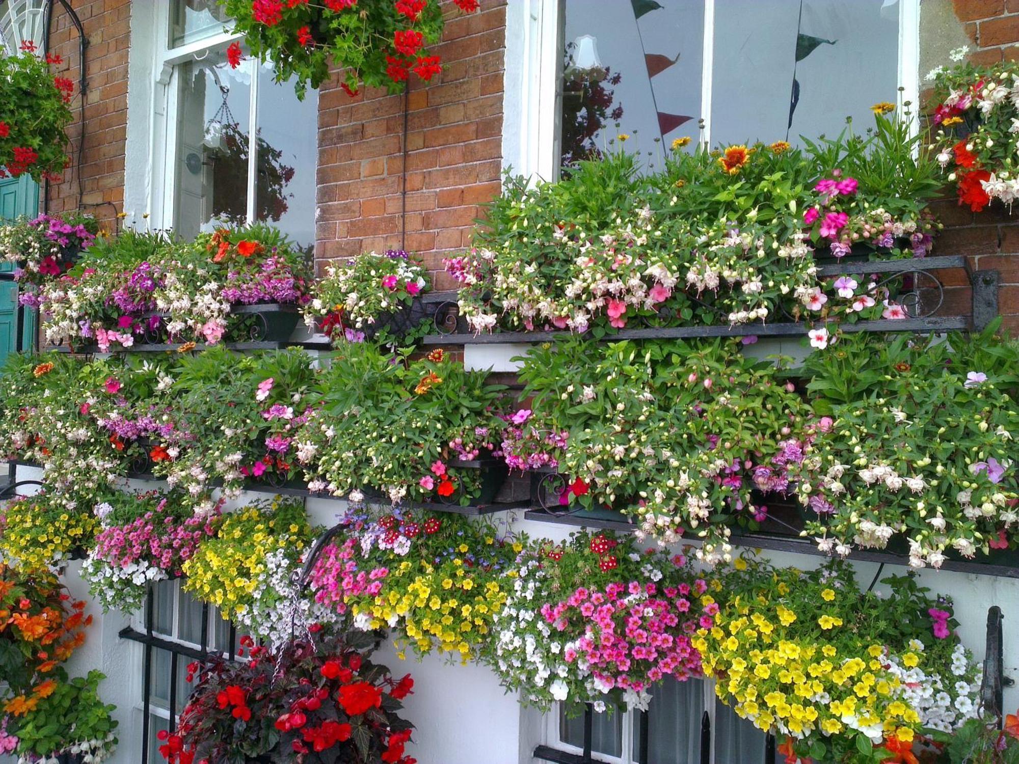 The Langham Bed and Breakfast Weymouth Eksteriør billede